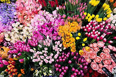 《亚尔默逊：冒险者的遗产》延期至明年 为更好的游戏体验