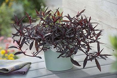 PS45同步发售 《GT赛车7》制作人介绍游戏拍照功能